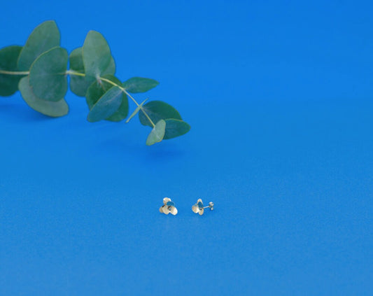 Clous d'oreille PENSEES